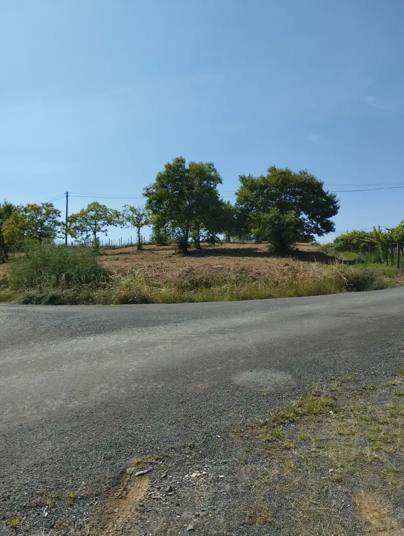 Terreny residencial en venda a Lugar San Mamede 8, imagen 3