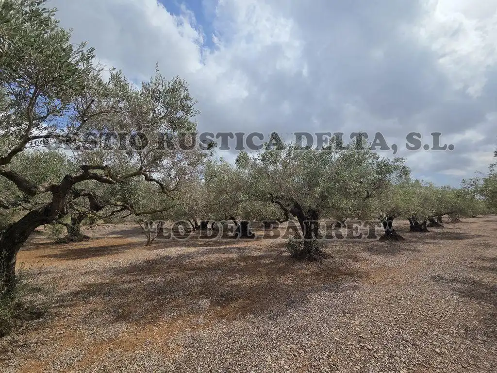 Terreno rústico en venta en Poligono 8, imagen 7