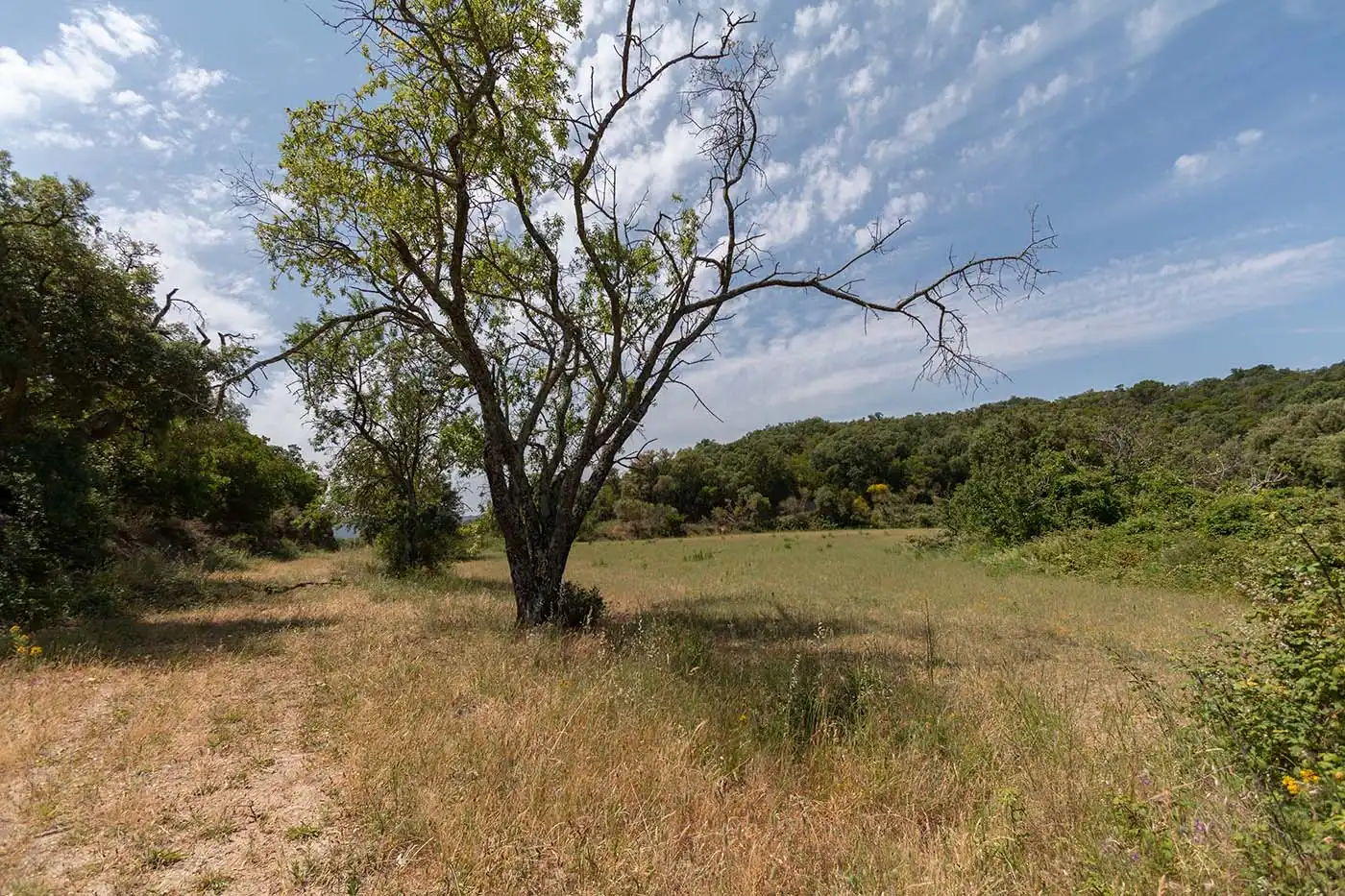 Finca rústica en venta en Can Tallades, Poble