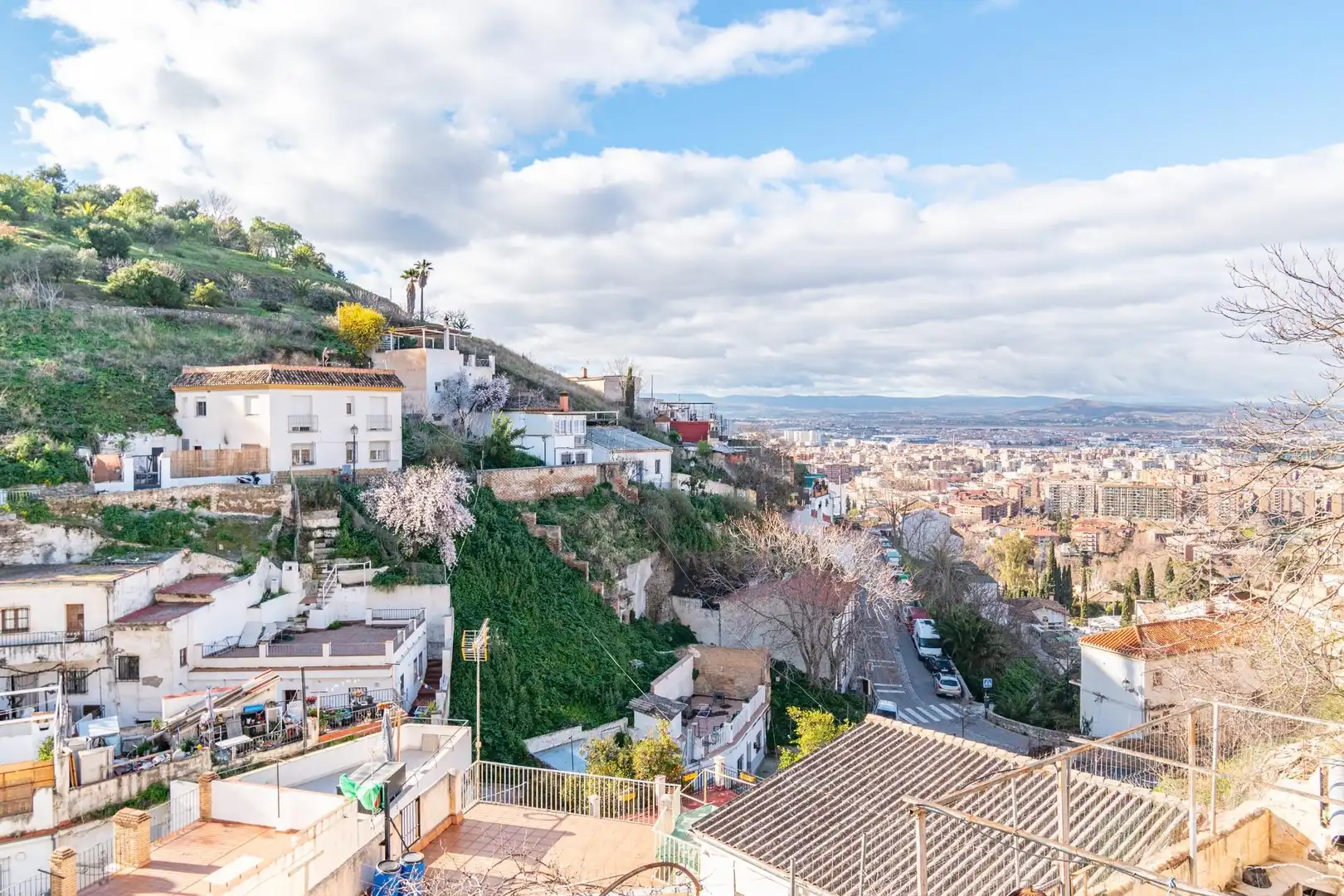 Vista exterior de Casa o chalet en venta en Granada con Jardín privado y Terraza