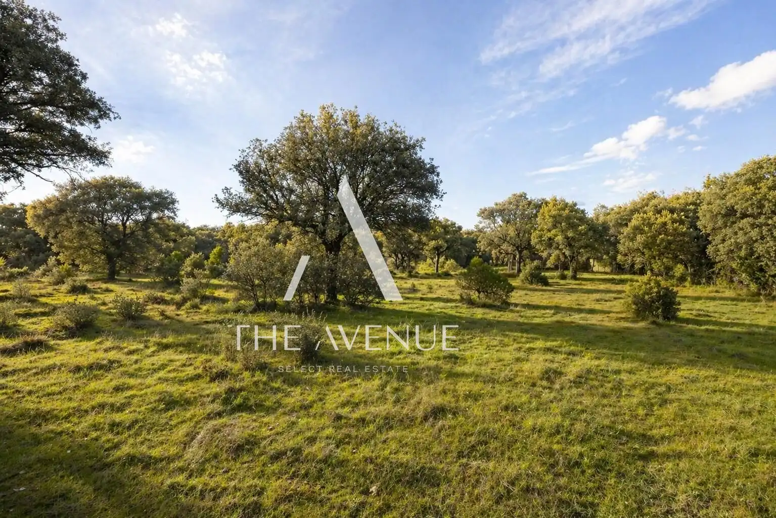 Terreno residencial en venta en Calle Enebros, imagen 12