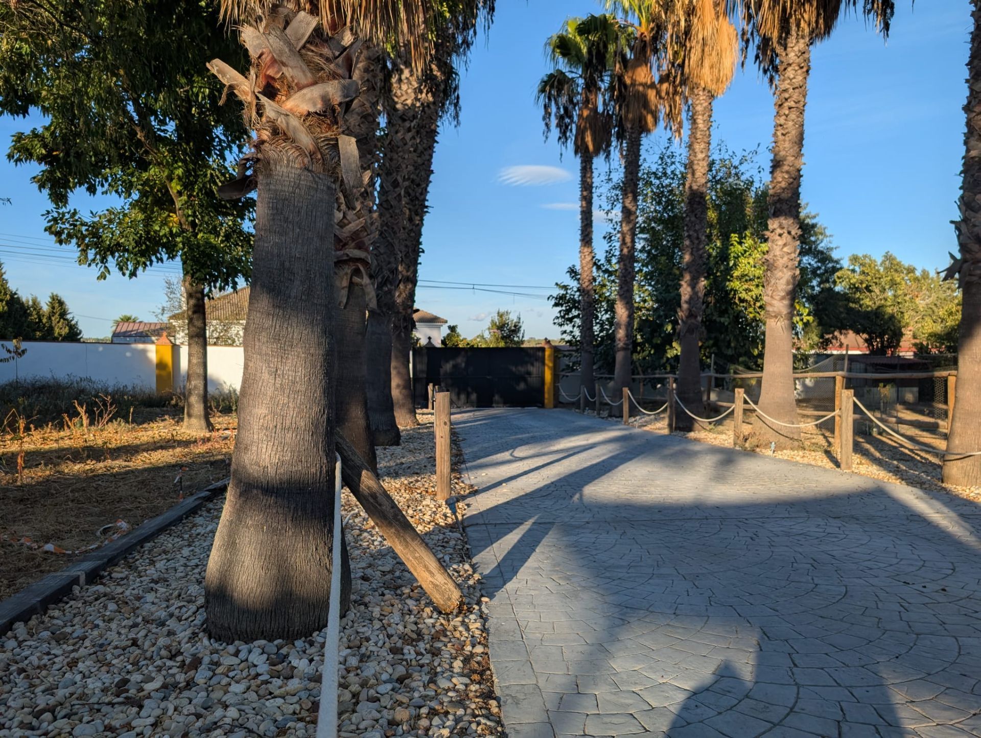 Vista exterior de Casa o chalet en venta en Aljaraque con Aire acondicionado, Jardín privado y Piscina