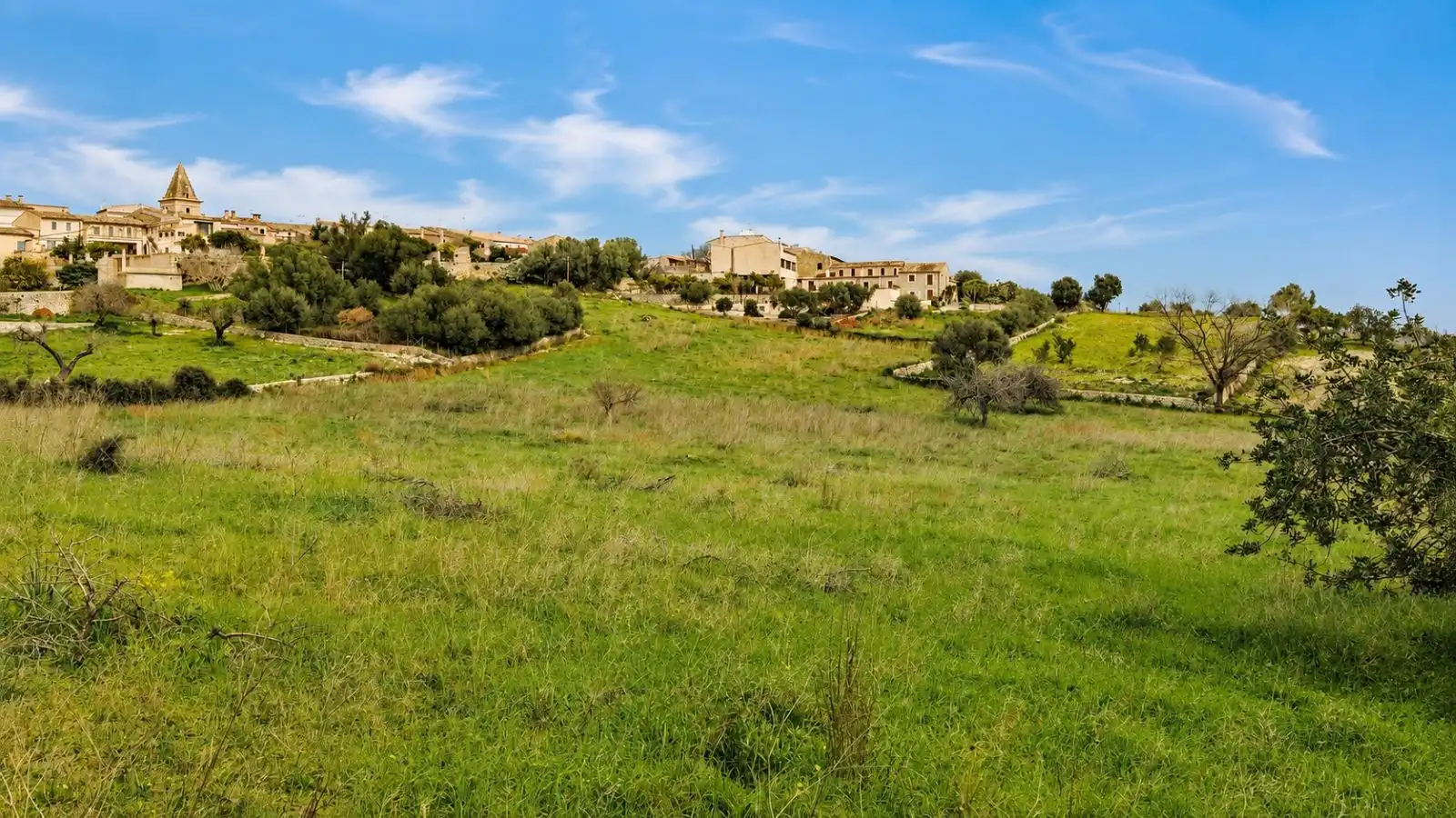 Residential for sale in Selva