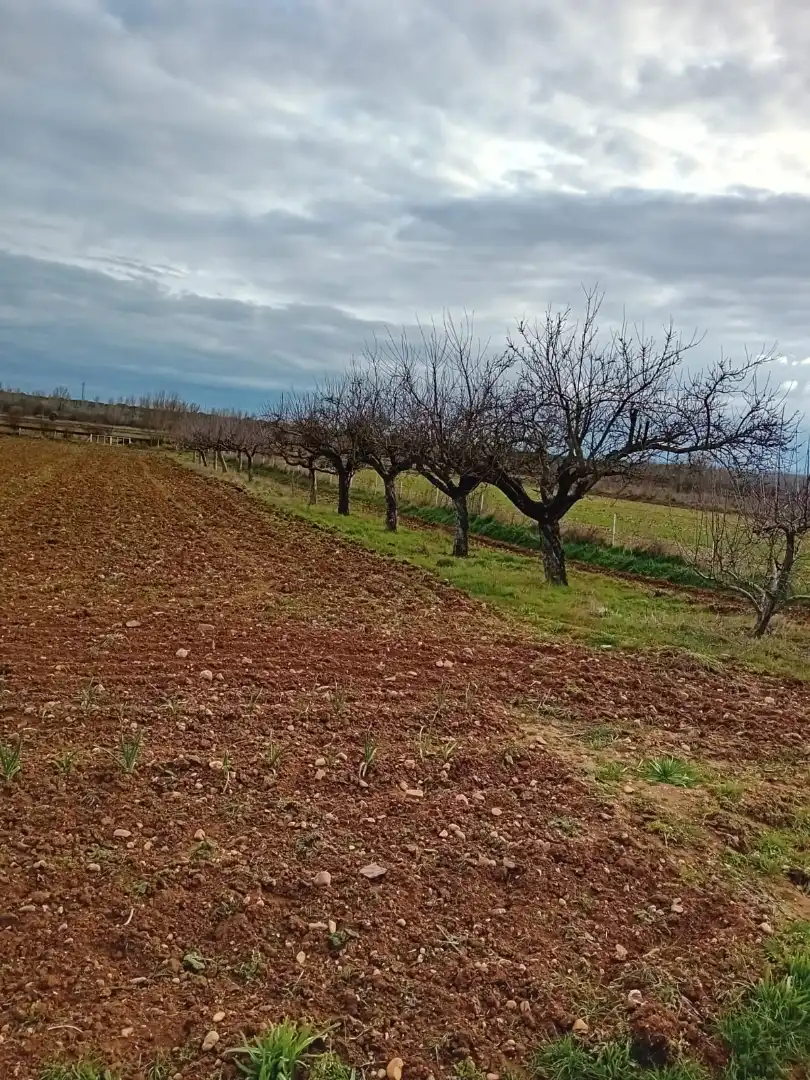 Finca rústica en venta en ZA-P-1509, Villaveza de Valverde