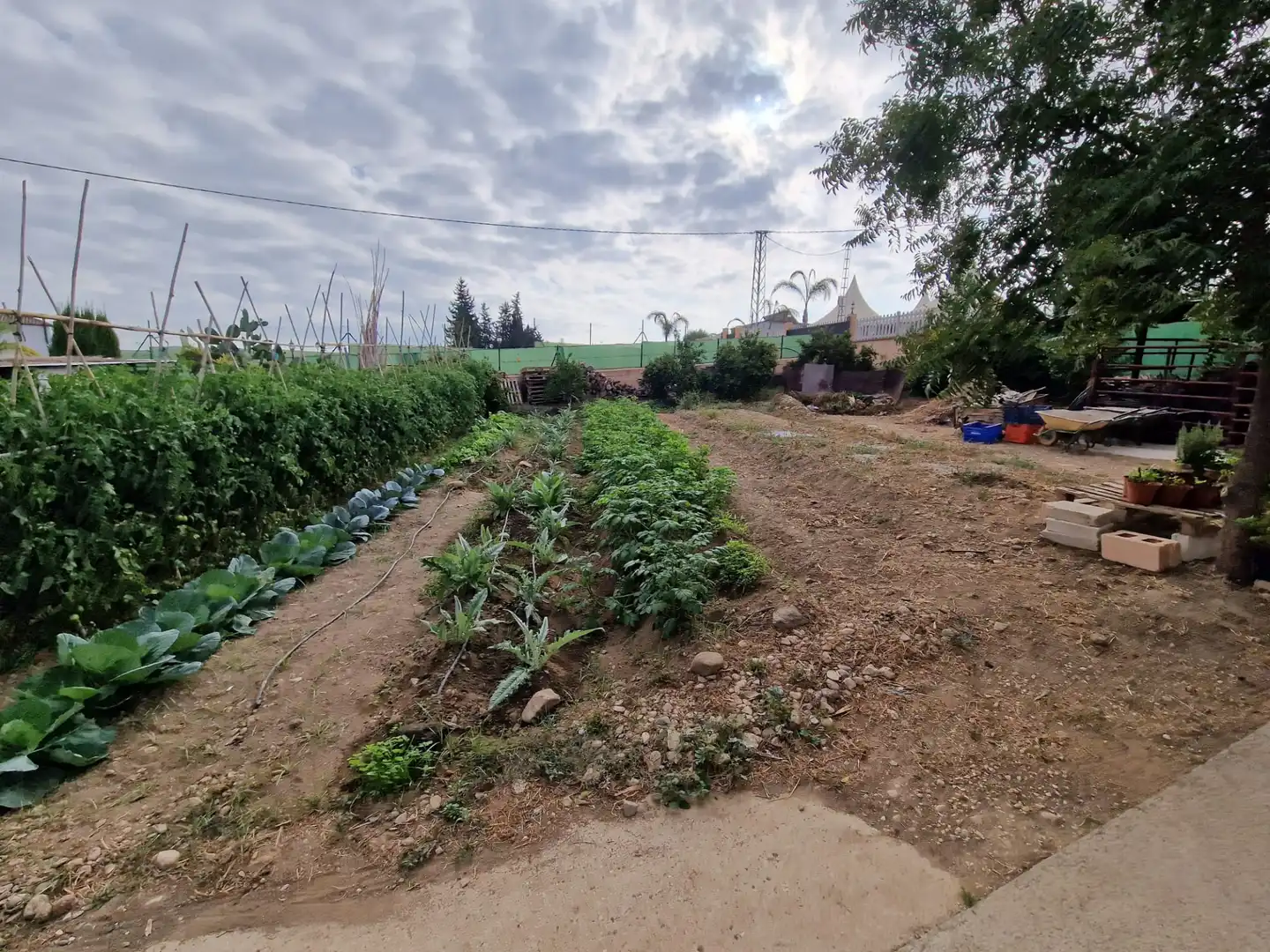 Terreno rustico in vendita a El Romeral - Peñón de Zapata, imagen 40