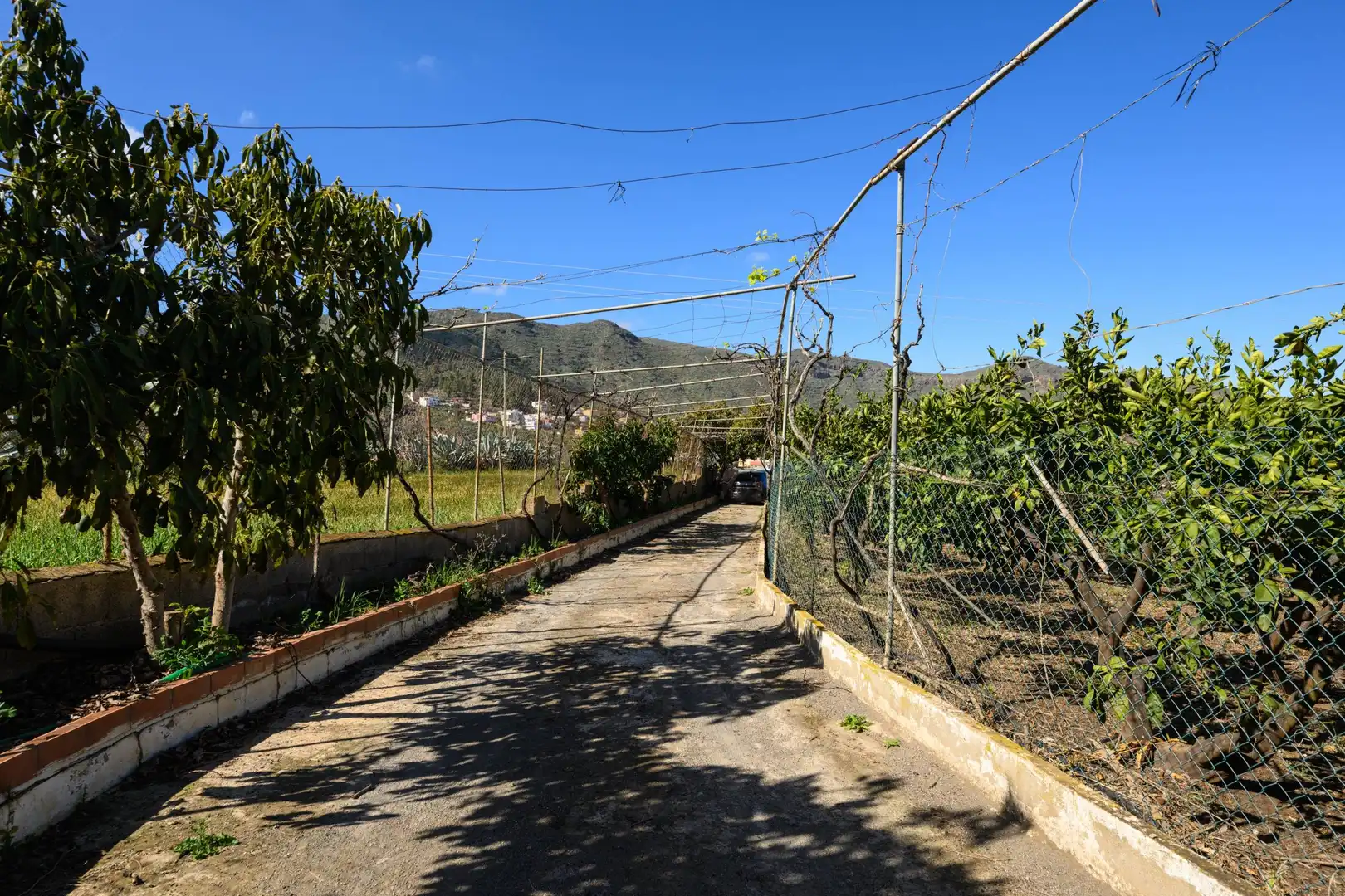 Vista exterior de Casa o xalet en venda en Valsequillo de Gran Canaria amb Jardí privat i Terrassa