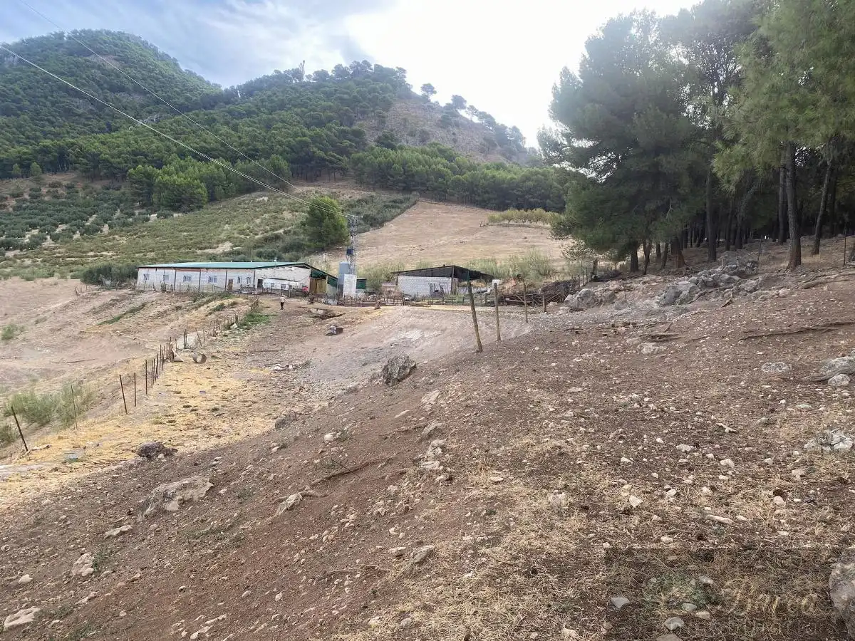 Nave industrial en venta en Rute