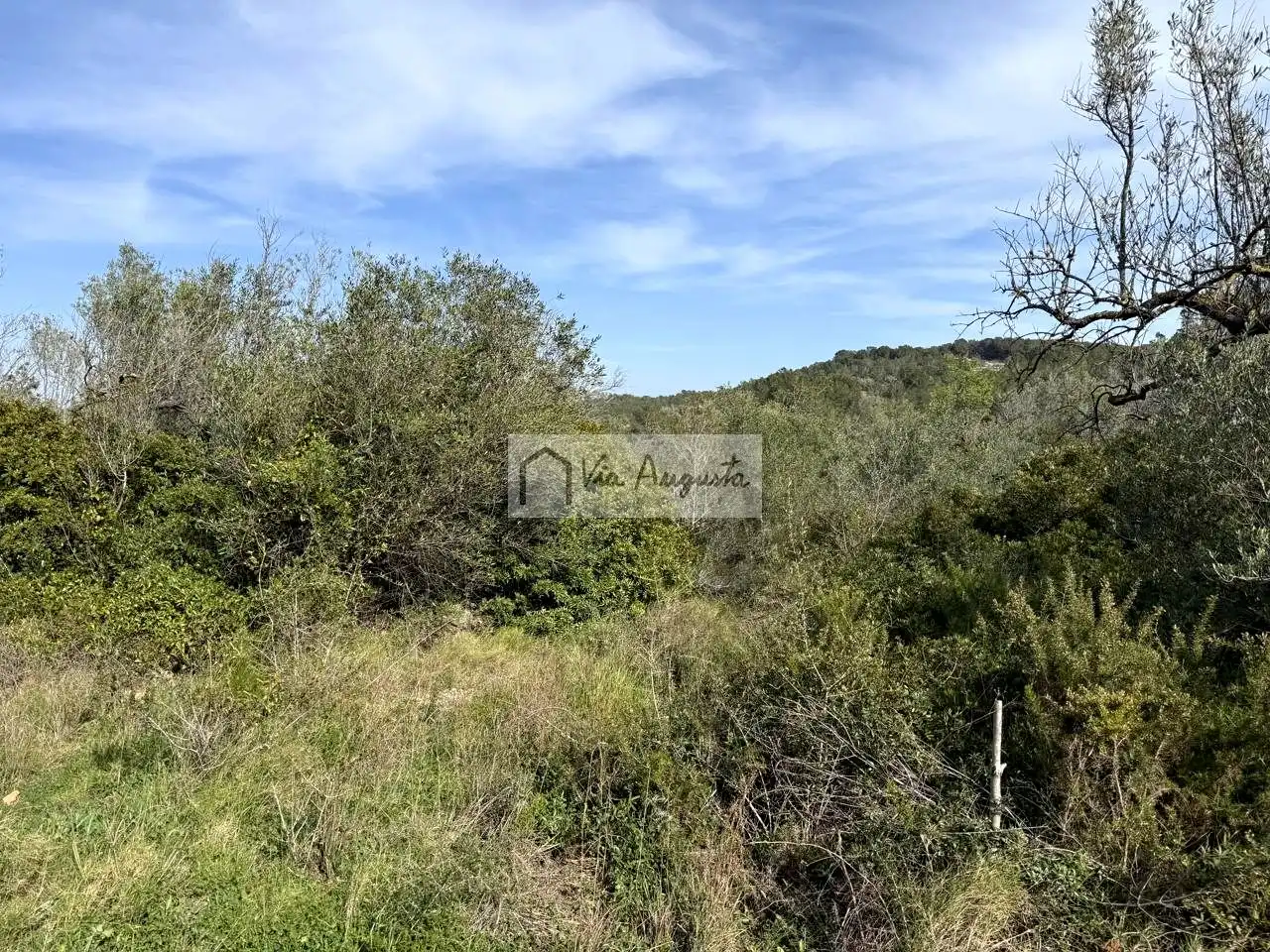 Terreno rustico in vendita a oliveres, imagen 13