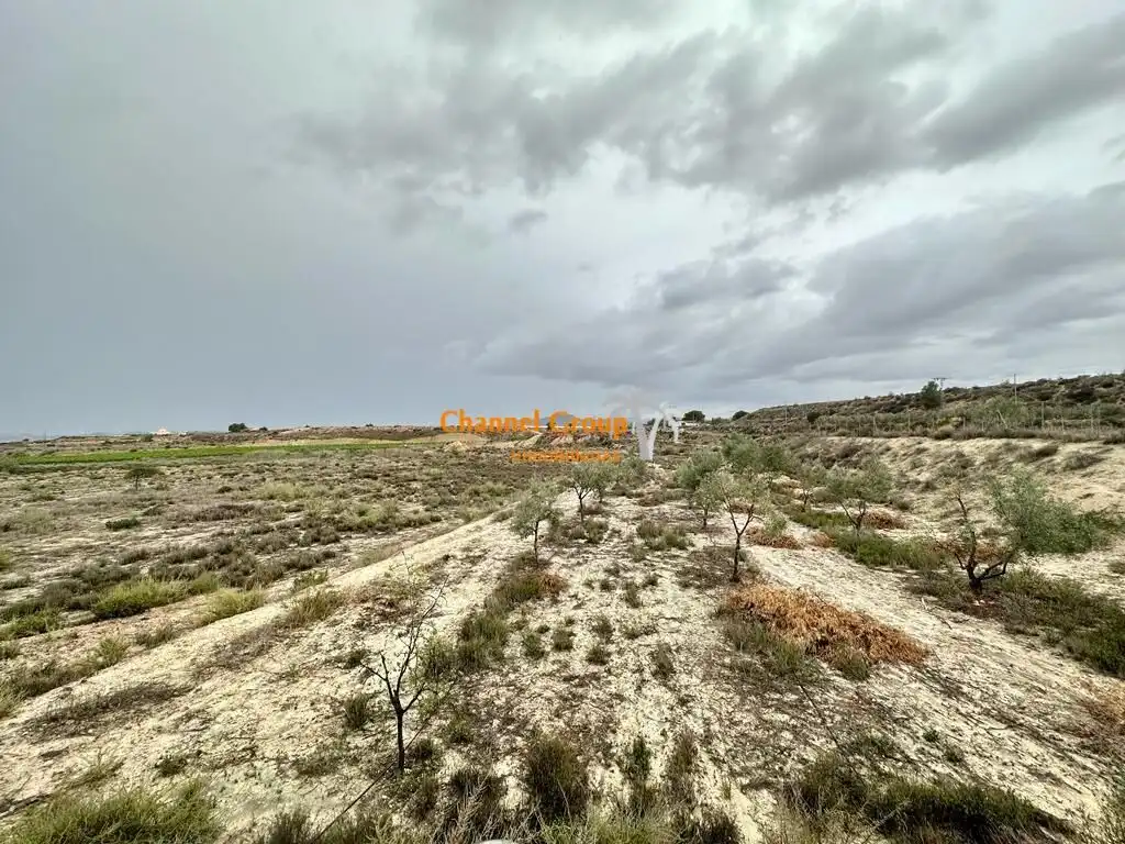 Finca rústica en venta en Novelda