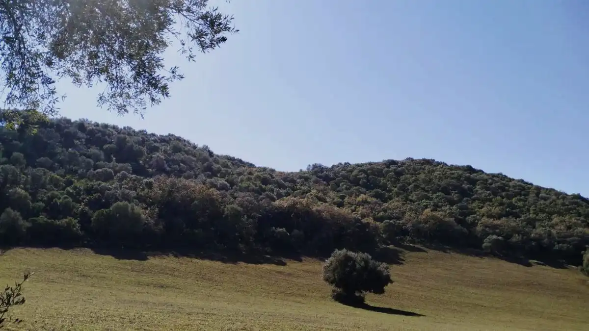 Casa rústica en venda a El Bosque, imagen 24