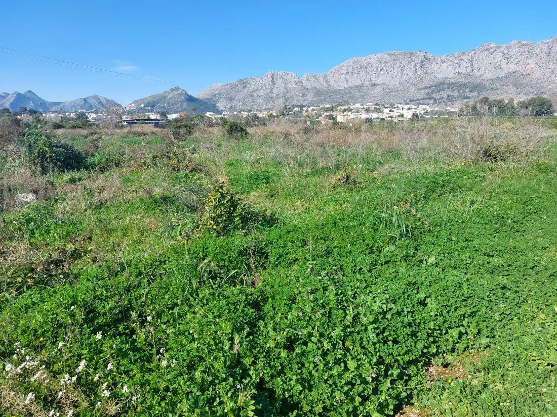 Terreny rústic en venda a Beniarbeig, imagen 14