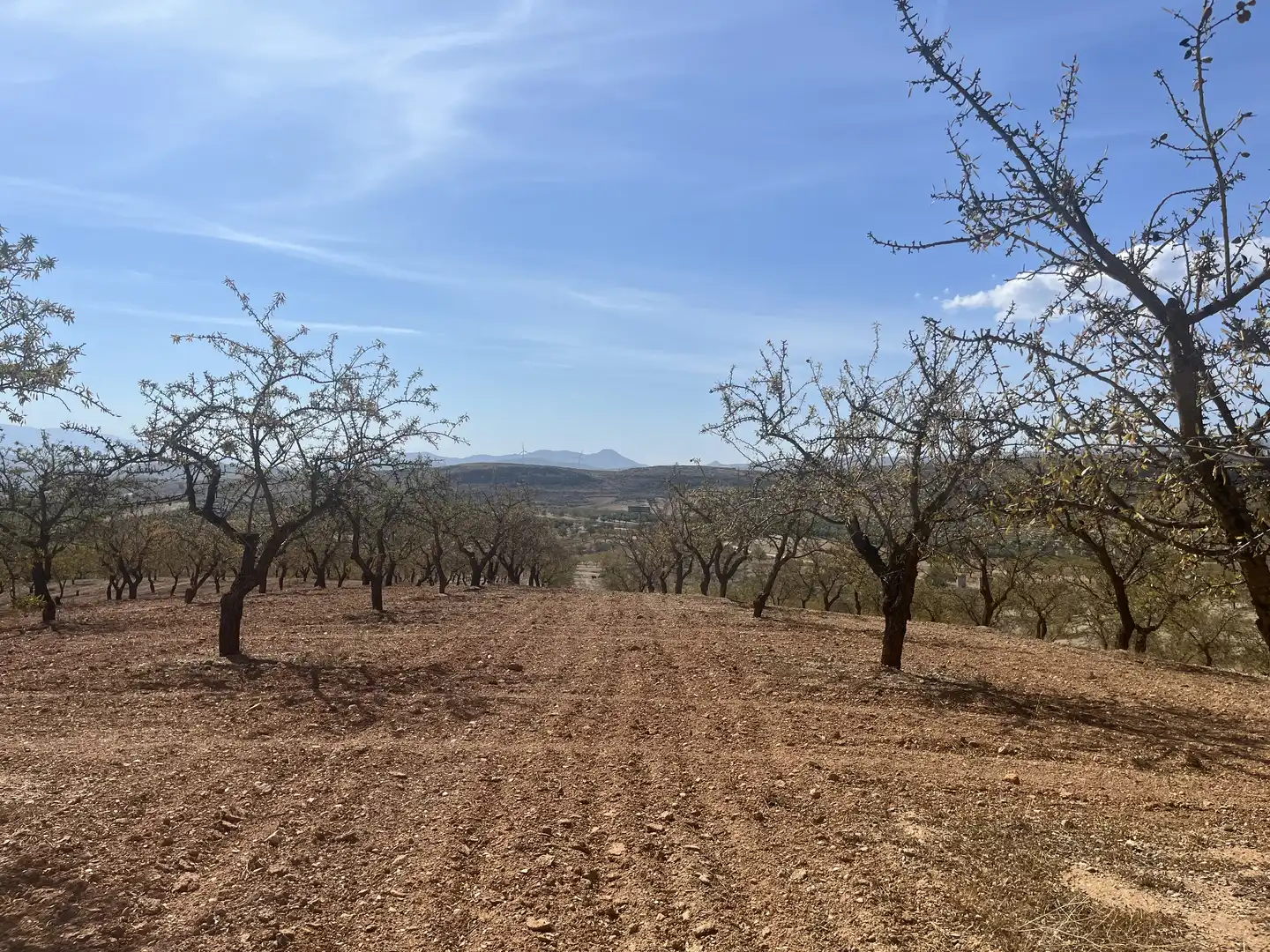 Rustikales Grundstück zum Verkauf in Avenida de Andalucía, imagen 8