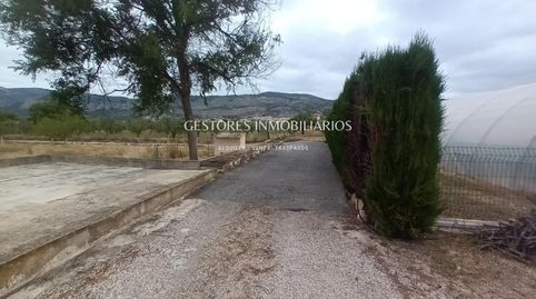 CASA DE CAMPO CON INVERNADEROS EN ONIL, imagen 3