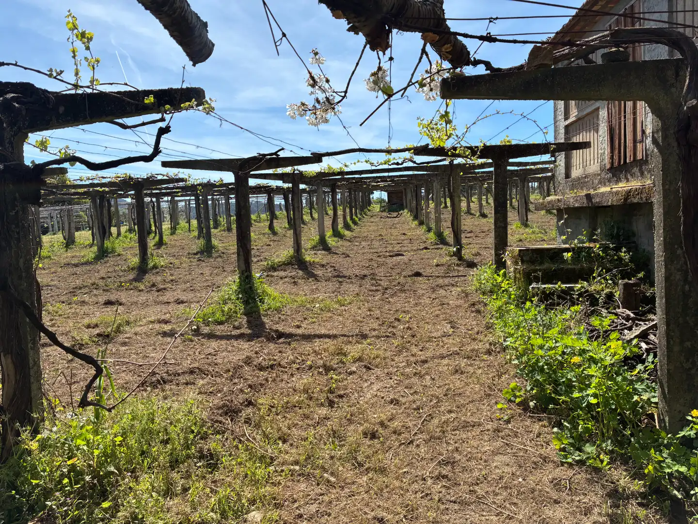 Casa en venda a Rúa souto 2, imagen 27