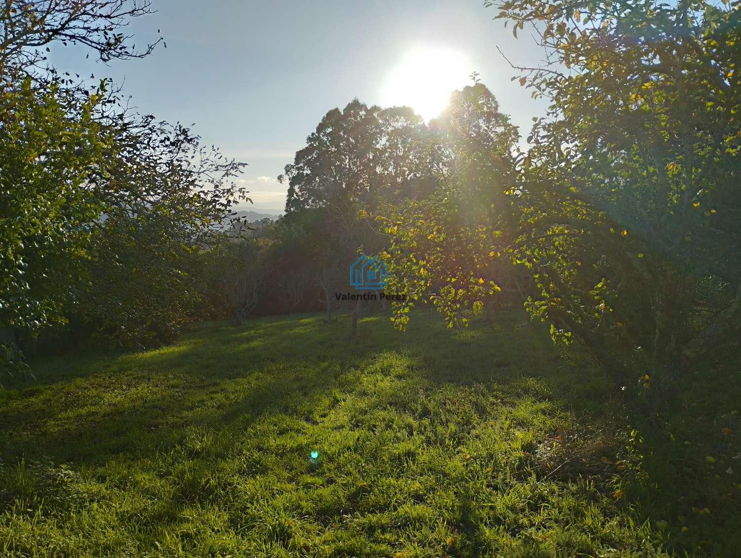Country house for sale in Cabanas