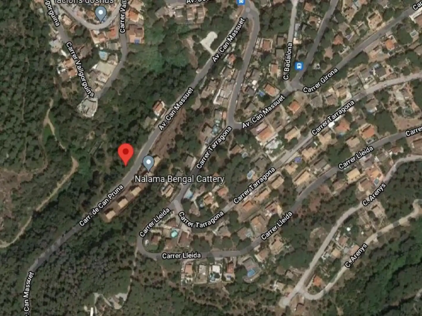 Terrenys i solars en venda a Can Massuet del Far