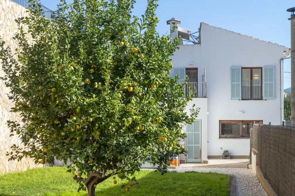 Vista exterior de Finca rústica en venta en Calvià con Aire acondicionado, Calefacción y Balcón