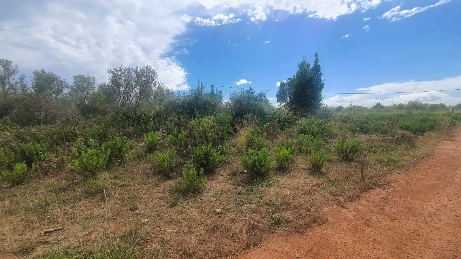 Terreno residencial en venta en Centro, imagen 7
