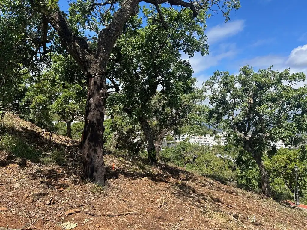 Terrains et parcelles à vendre à La Mairena, imagen 4