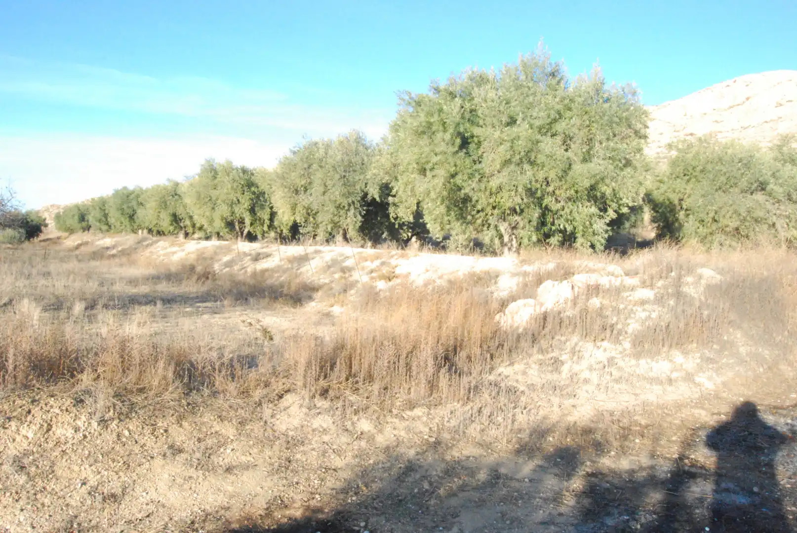 Houses for sale in Alicante / Alacant  with Air Conditioner, Terrace and Storage room
