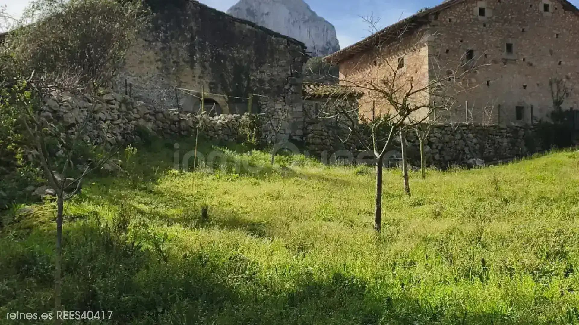 Casa o chalet en venta en Peñamellera Alta con Calefacción, Jardín privado y Amueblado