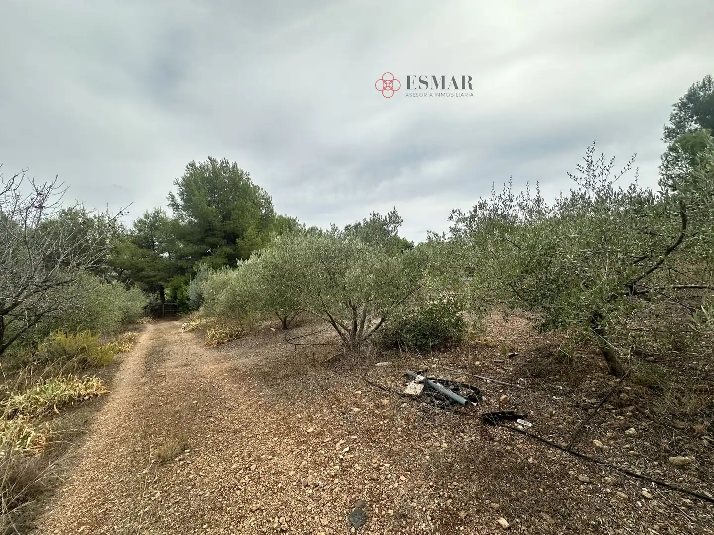 Xalet amb piscina en venda a Algar de Palància, imagen 2