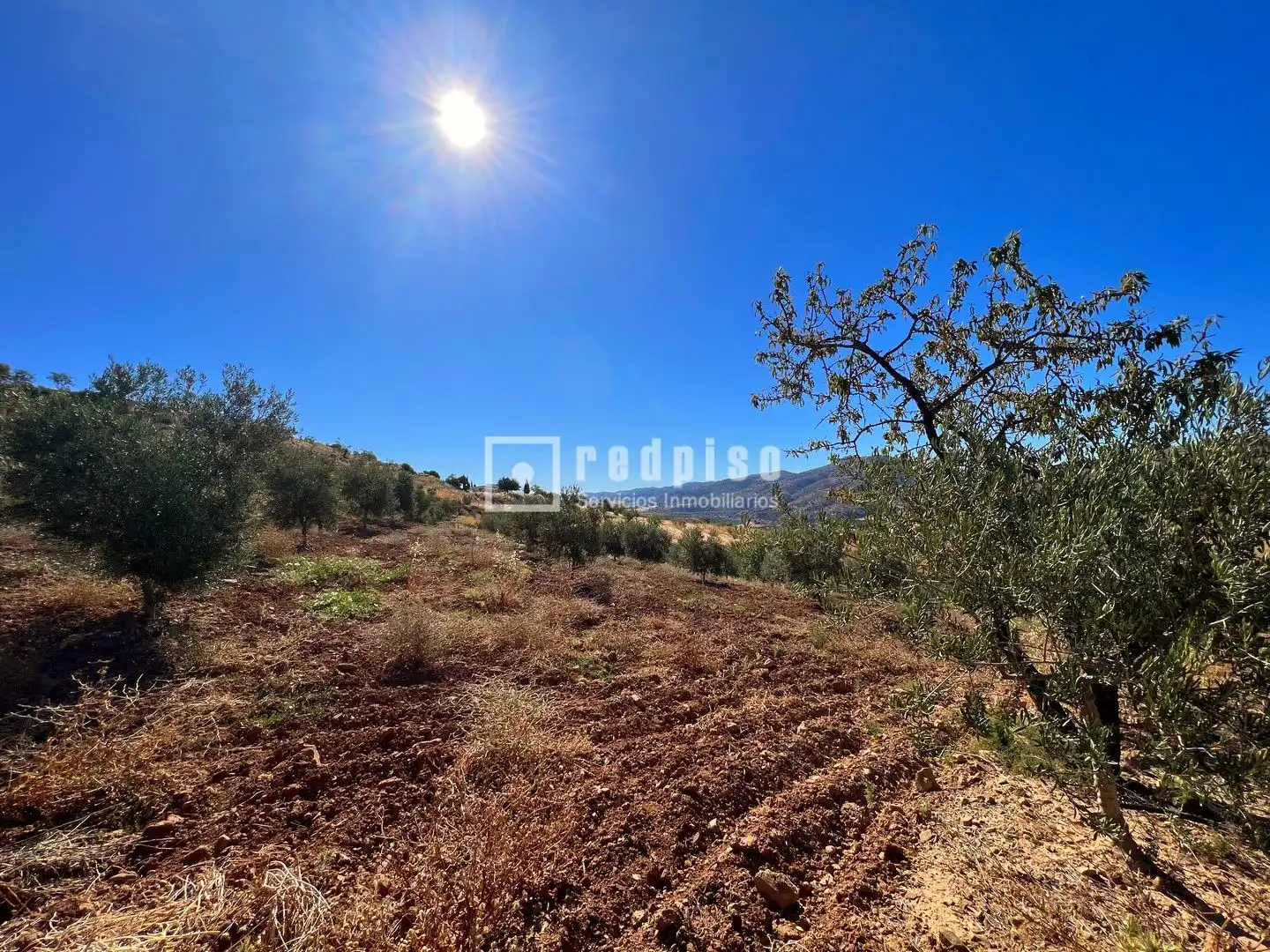 Residential for sale in Villanueva de la Concepción