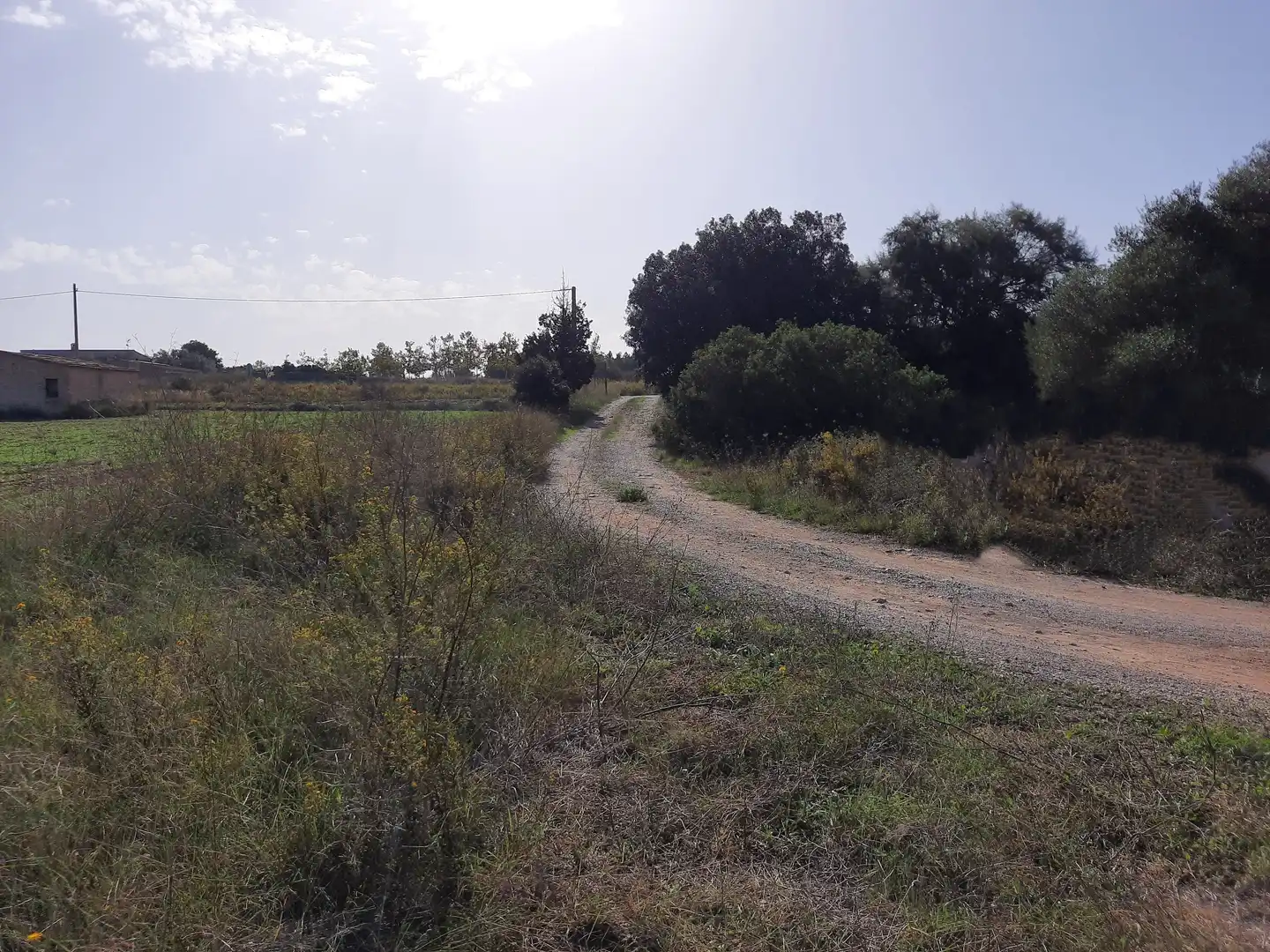 Wohnbaugrundstück zum Verkauf in Manacor Centre, imagen 13