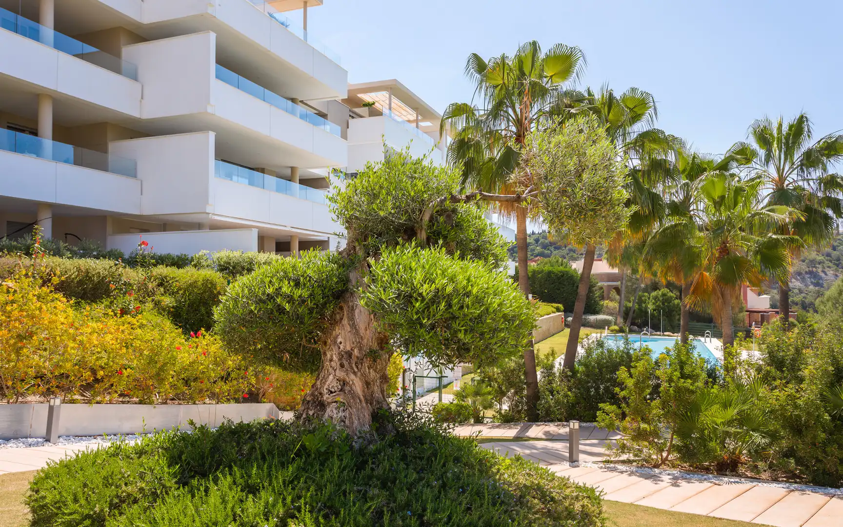 Apartament amb piscina en venda a Marbella Centro, imagen 25