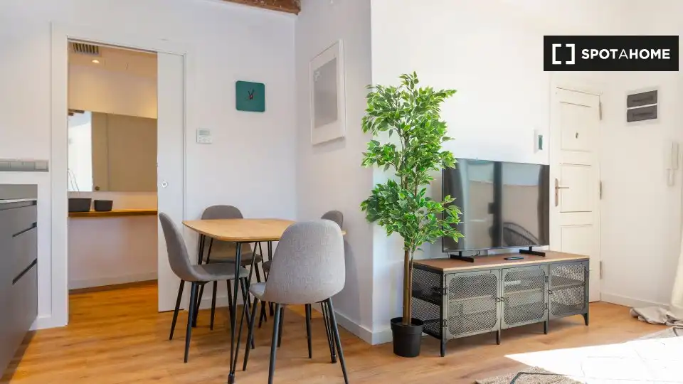 Flat with terrace to rent in Ciutat Vella, imagen 5