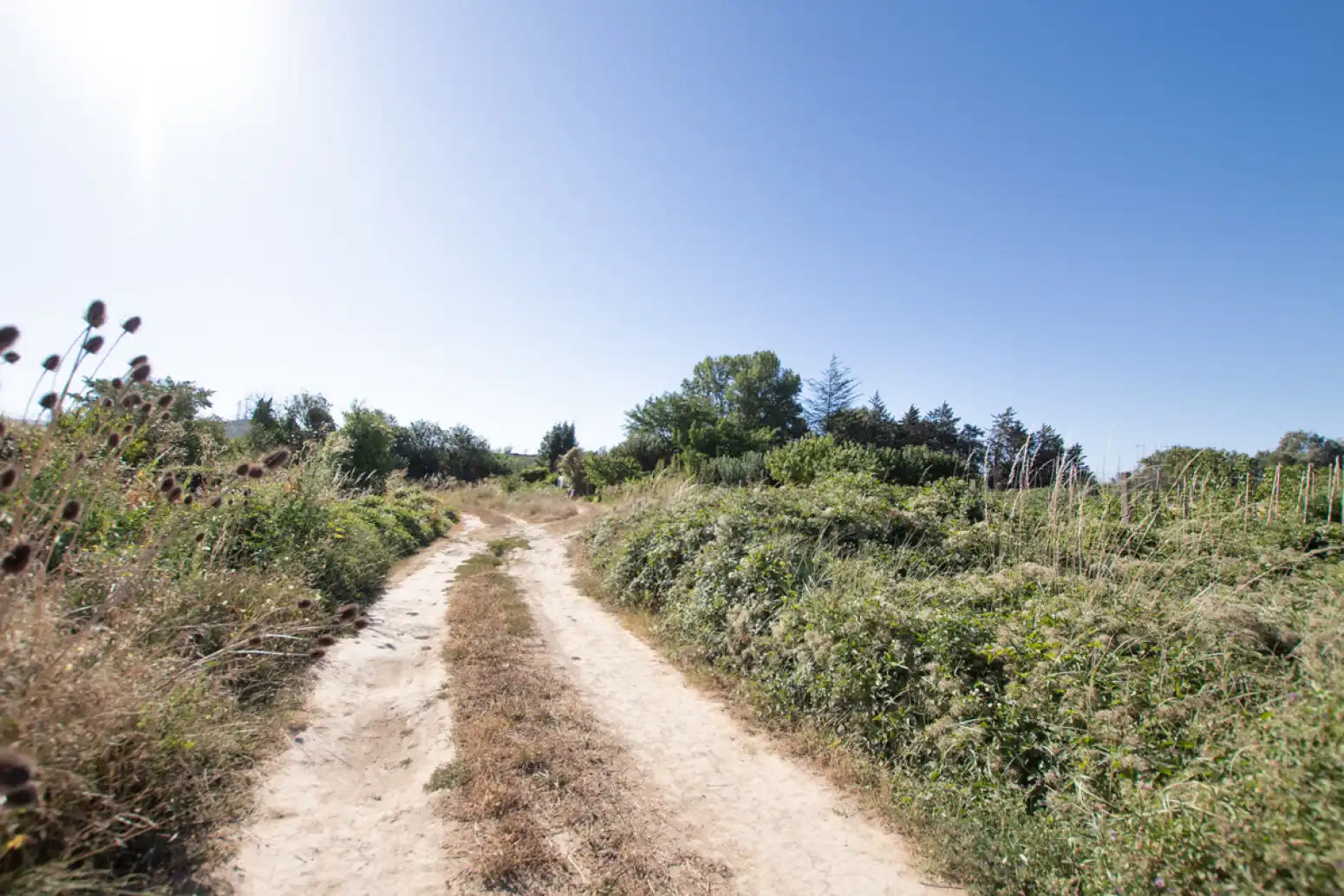 Land for sale in Tafalla - PARAJE MAKOTXA, Tafalla