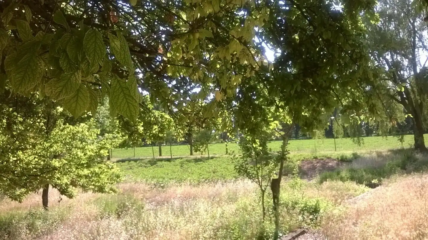 Grundstücke und Bauplätze zum Verkauf in Torrejón del Rey, imagen 17