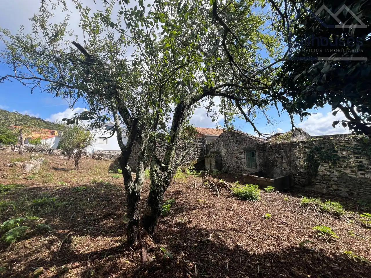 Residential land for sale in A Guarda, imagen 15