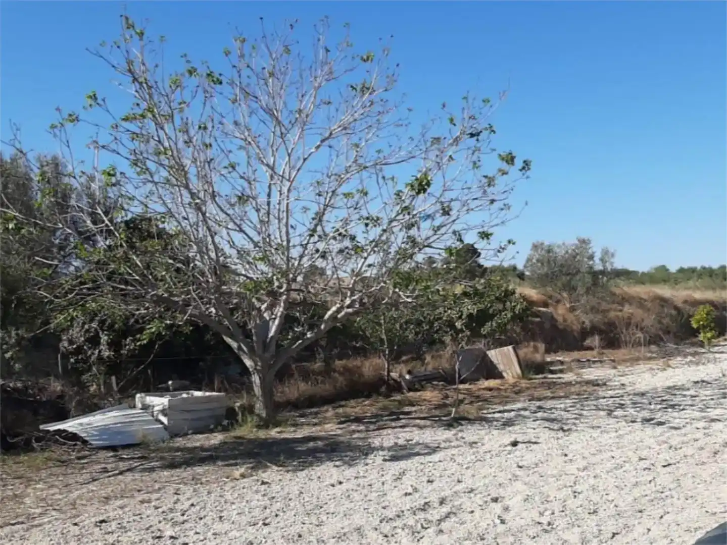 Finca rústica en venda en Albaida amb Piscina
