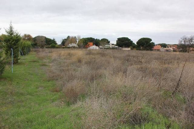 Terreno residencial en Venta en Quinojal en Tudela de Duero