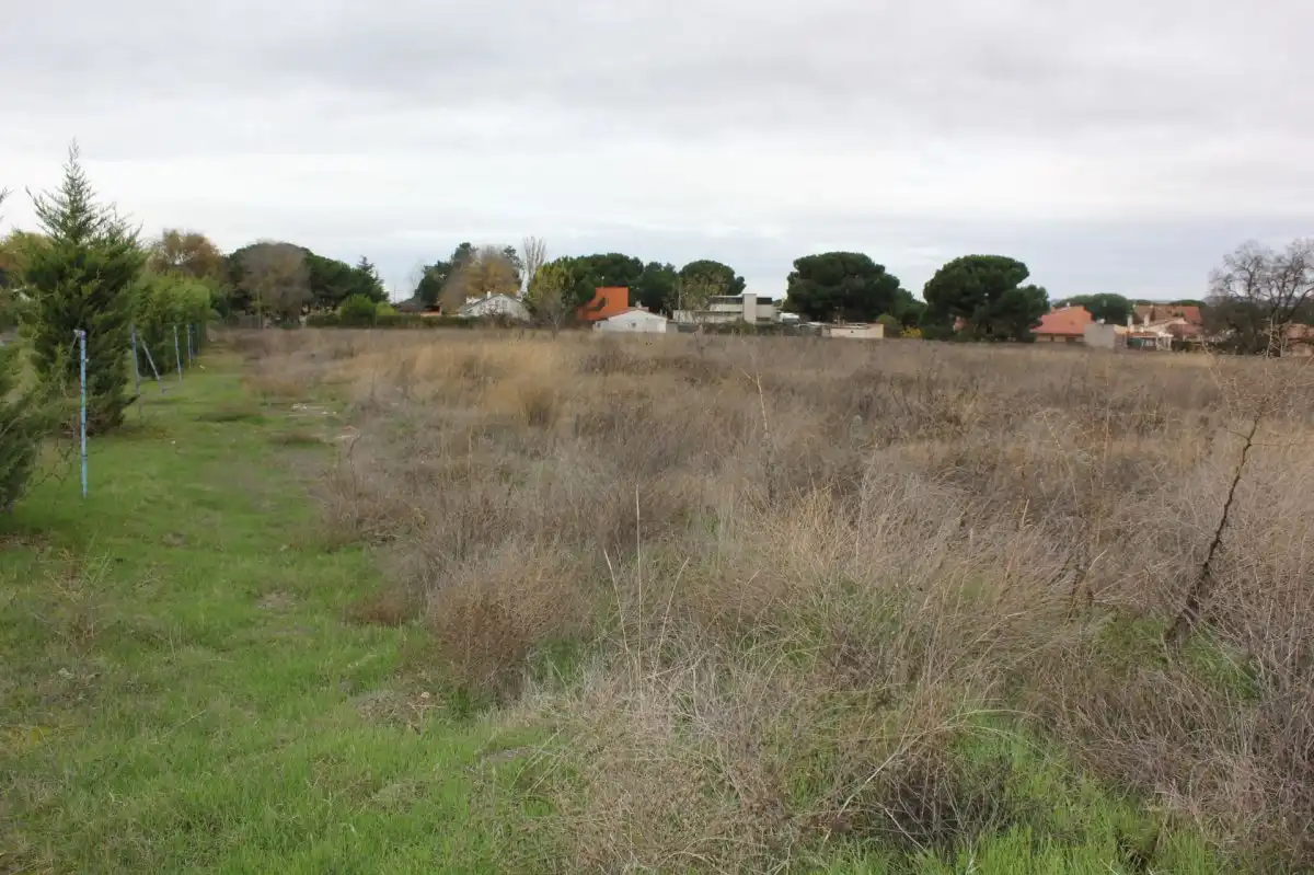 Terreno residenziale in vendita a Quinojal