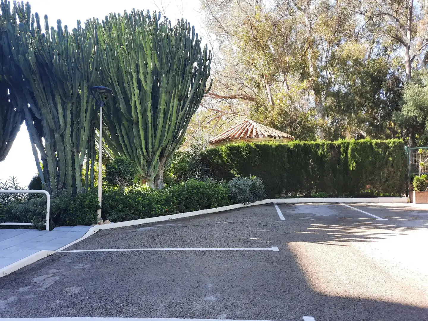 Apartament amb piscina en venda a Seghers, imagen 57