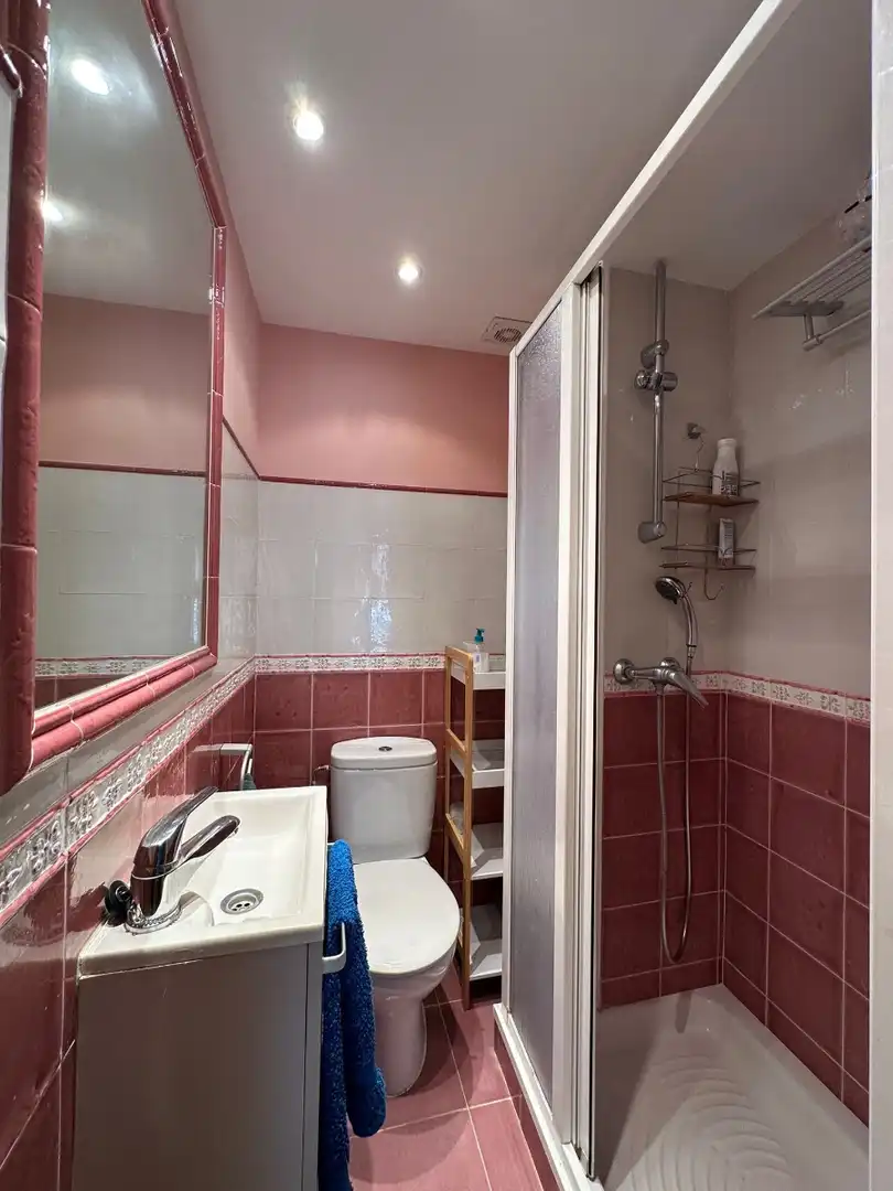 Appartamento con terrazza in affitto a Zona Levante - Playa Fossa, imagen 11