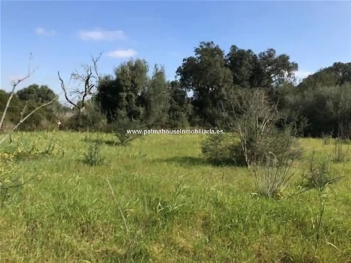 Wohnbaugrundstück zum Verkauf in Llubí, imagen 20