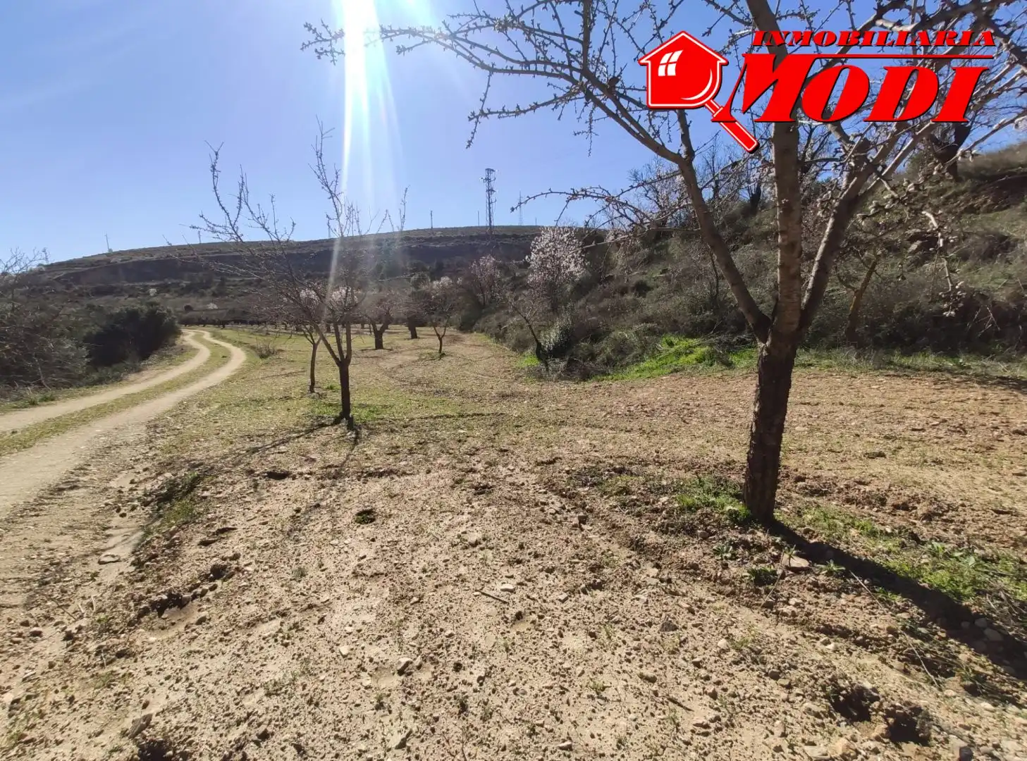 Terrenys i solars en venda a Villamena, imagen 9