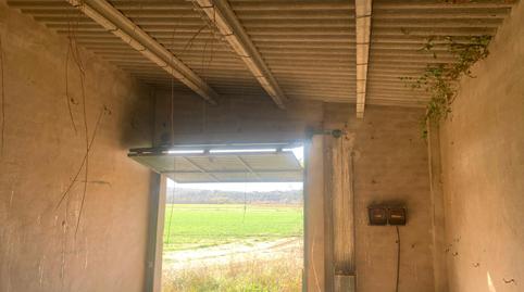 Photo 5 of Land for sale in N/a, -1, Fontanilles, Girona