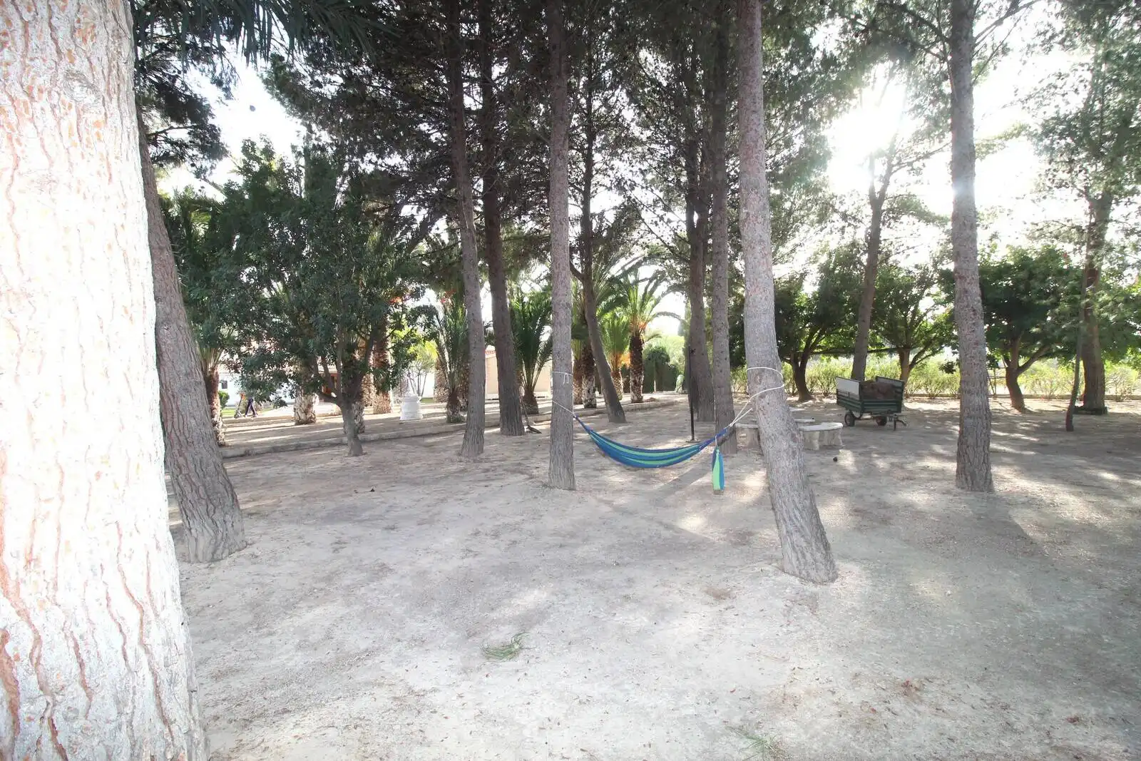 Casa amb terrassa en venda a Campo Alto - Club de Campo, imagen 13