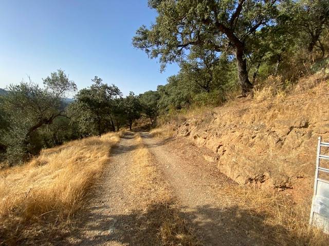 Terreno en Venta en Poligo 5, Parcela 86, El Montecillo en La Nava