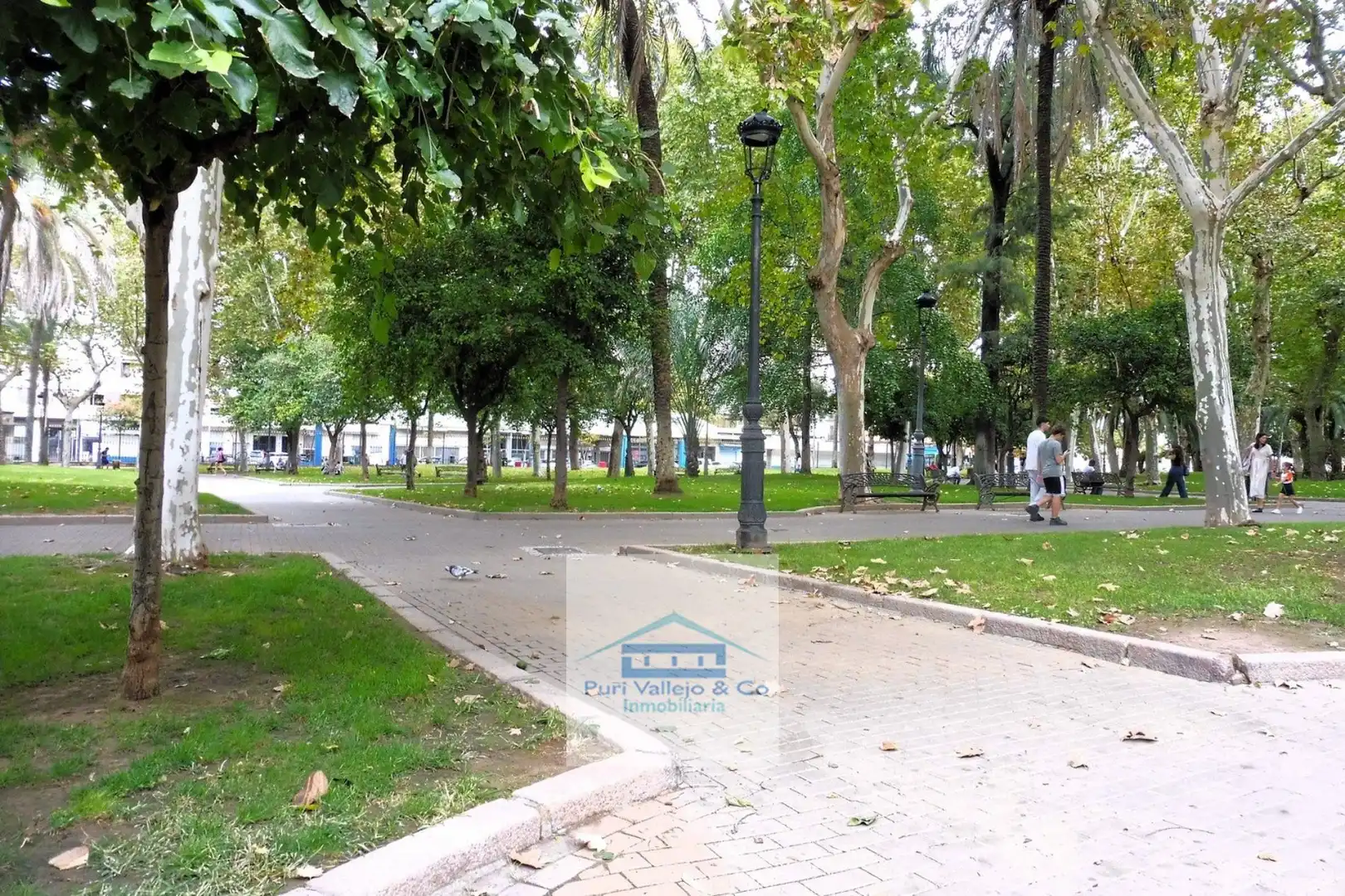 Piso con ascensor en venta en Colón, imagen 4