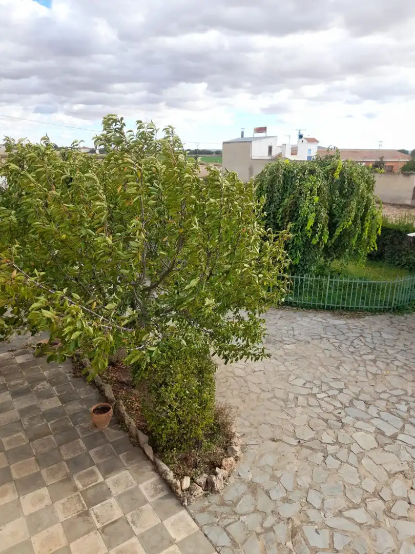 Chalet en venta en Pedanías - Extrarradio, imagen 46