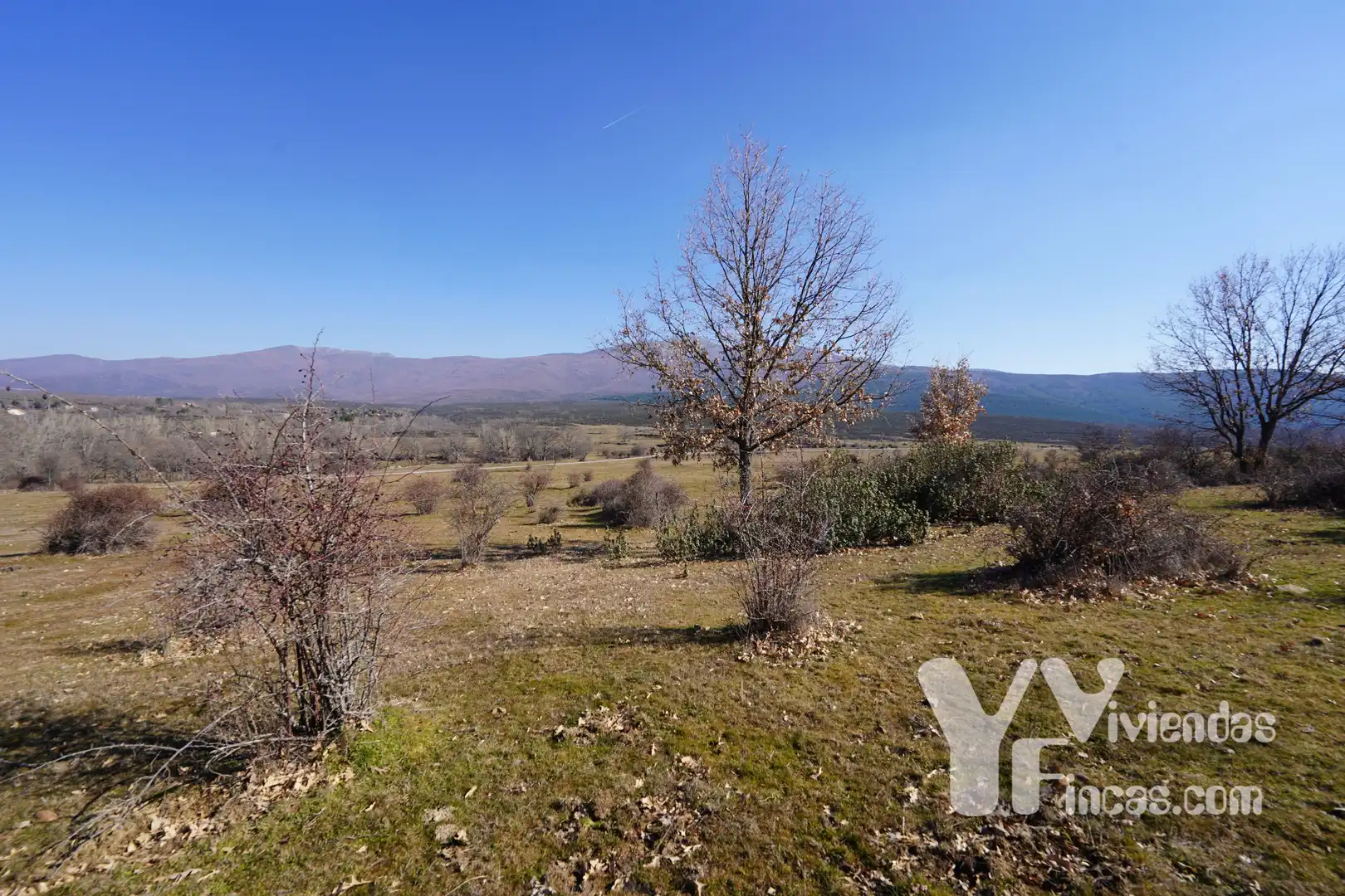 Terreno rústico en venta en Campillo de Ranas, imagen 6