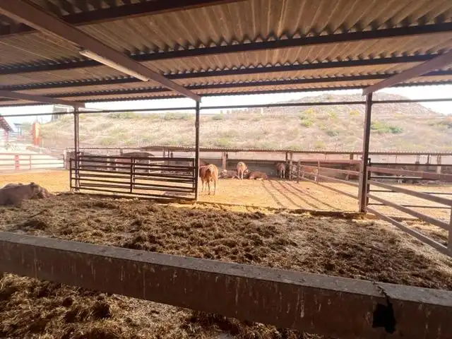 Vista exterior de Casa o xalet en venda en Alicante / Alacant amb Jardí privat