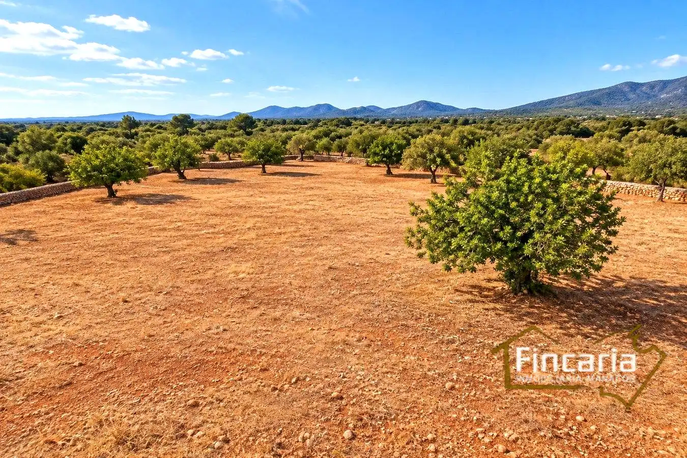 Country homes for sale in Marratxinet