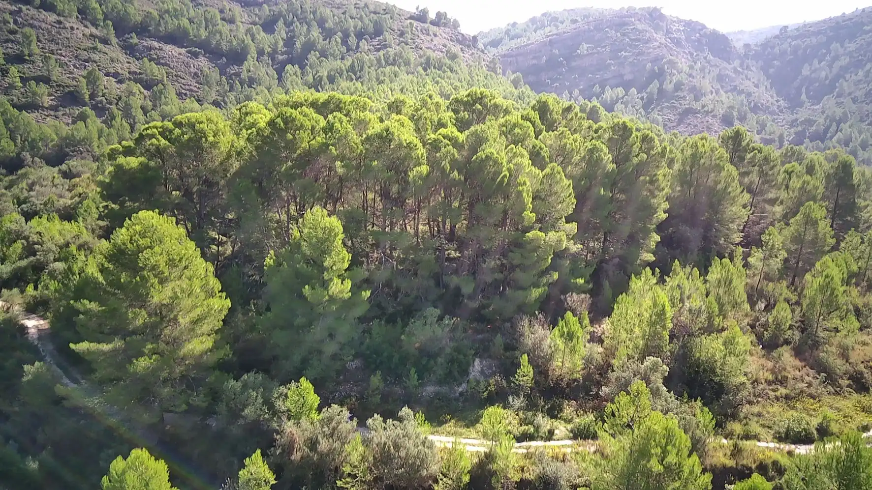 Residential land for sale in Orba, imagen 7