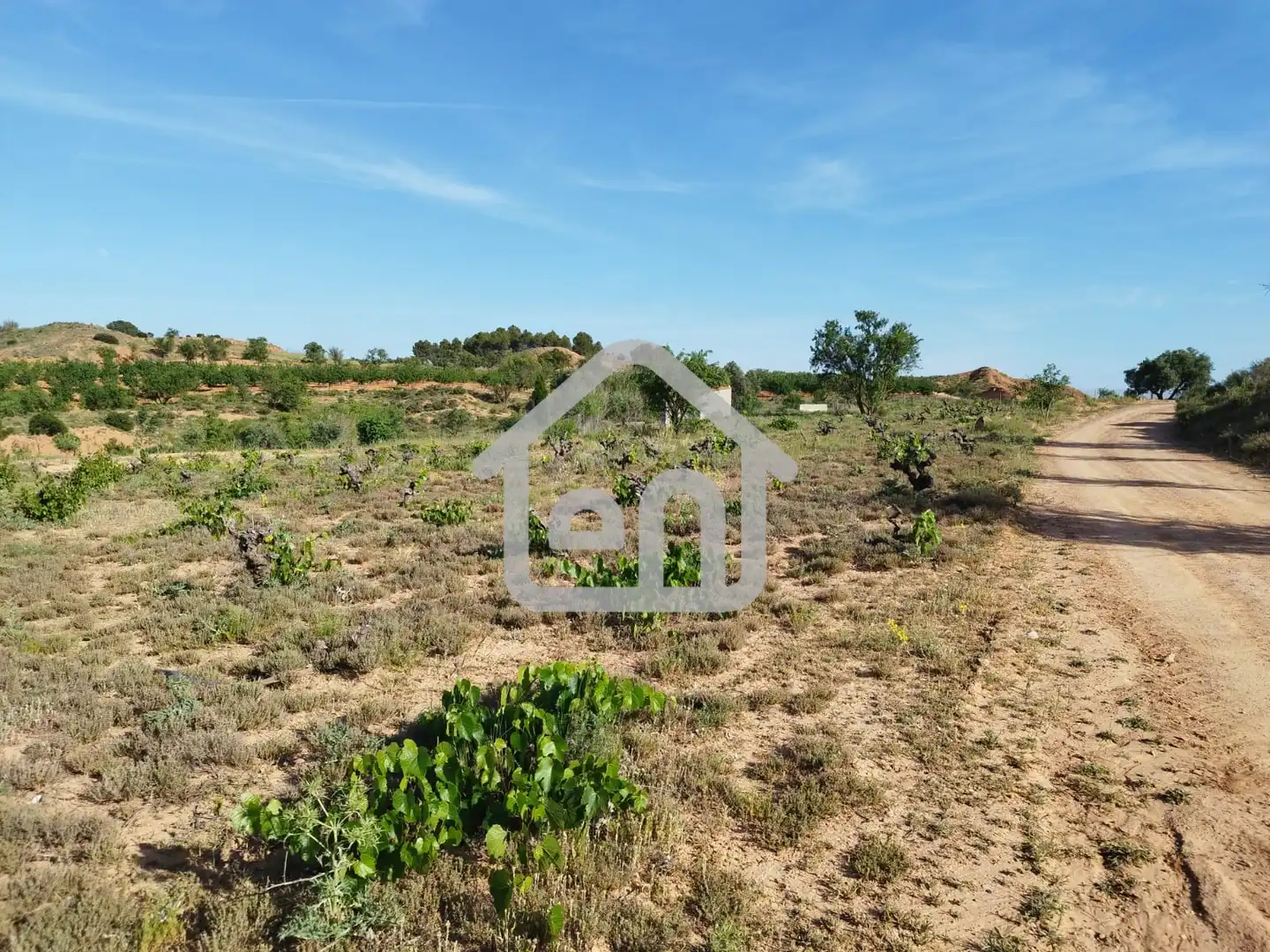 Rural land for sale in Requena, imagen 22
